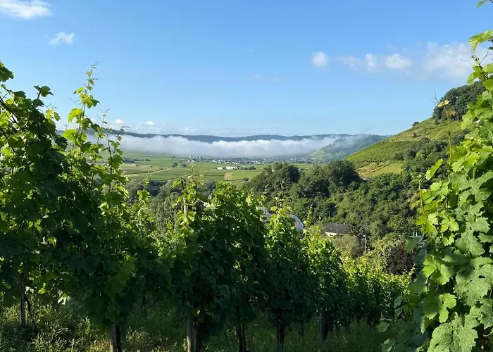 Klara Ferienhaus Schweich